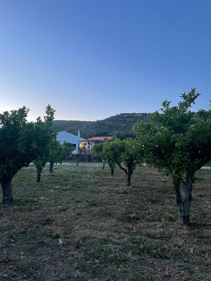Quinta Da Boa Sorte Estoi Exterior foto